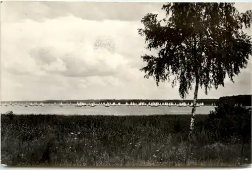 Wendisch-Rietz, Segelregatta auf dem Scharmützelsee -376706