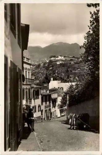 MAdeira - Strasse in Funchal -94848