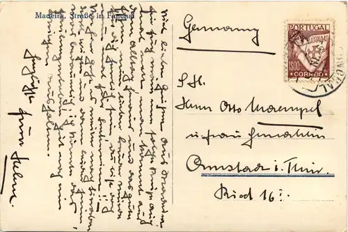 MAdeira - Strasse in Funchal -94848