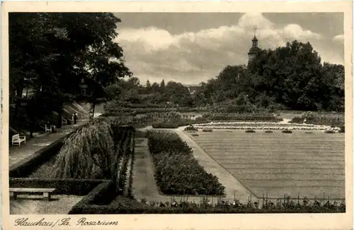 Glauchau, Rosarium -379400