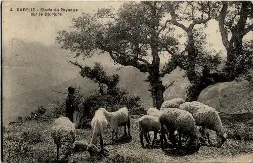 Kabylie, Etude du Paysage sur le Djurjura -362990
