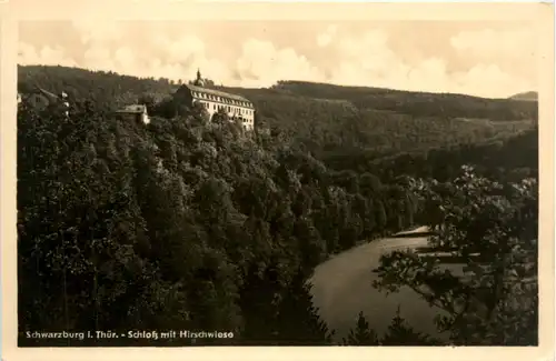 Schwarzburg, Schloss mit Hirschwiese -377474