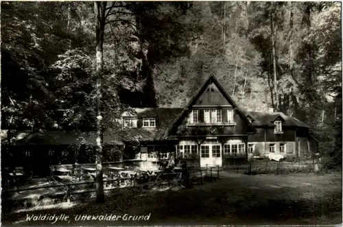 Waldidylle, Uttewalder Grund -380370