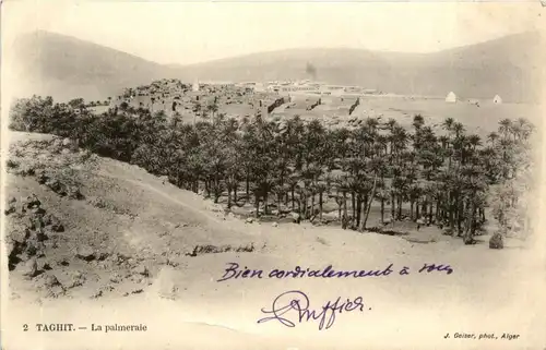 Taghit, La palmeraie -363150