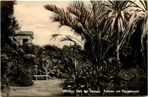 Wörlitzer Park, Palmen mit Floratempel -377630