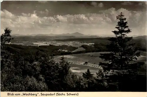 Blick vom Wachberg, Saupsdorf -379248