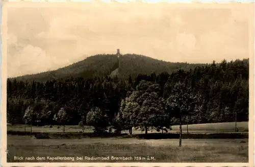 Radiumbad Brambach, Blick nach dem Kapellenberg -379328