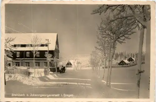 Johanngeorgenstadt i. Erzgeb., Steinbach -380650