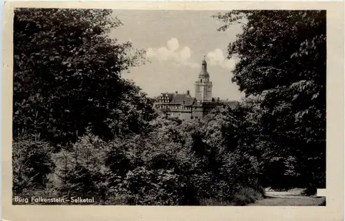 Burg Falkenstein im Selketal -378022