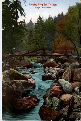 Loreley-Steg im Triebtal -379562