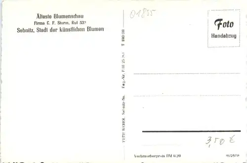 Sebnitz, Älteste Blumenschau -380386