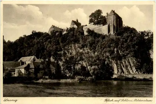 Leisnig, Blick auf Schloss Mildenstein -378238