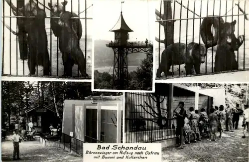 Bad Schandau, Bärenzwinger, div. Bilder -381110