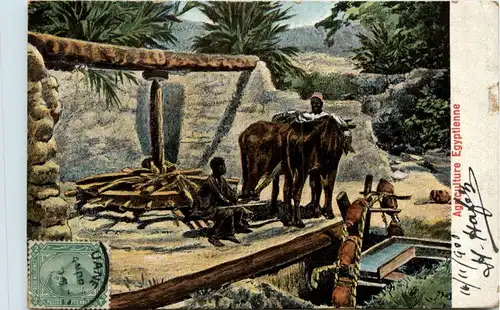 Egypt - Agriculture -443982