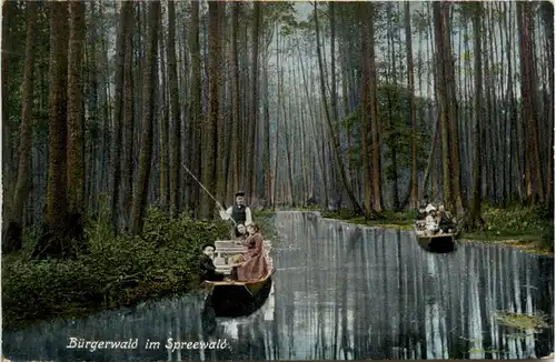 Bürgerwald im Spreewald -380324