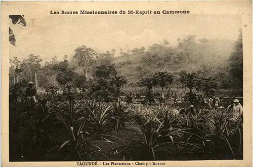 Cameroun - Yaounde -444622