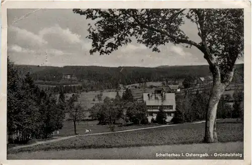 Schellerhau, Gründelsteig -382414