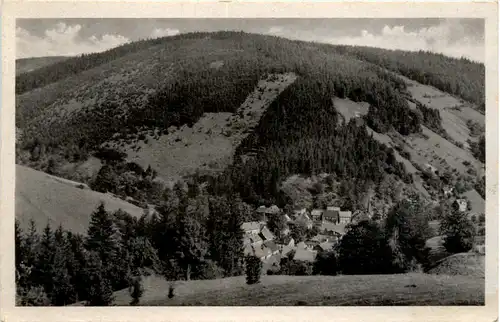 Mellenbach/Thür.Wald -381830