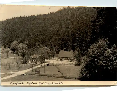 Seyde, Zwergbaude -381002