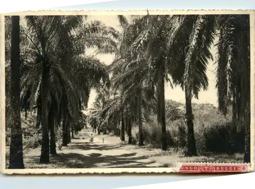 Kindu - Congo -445302