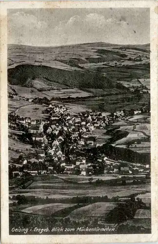 Geising i. Erzgeb., Blick zum Mückentürmchen -379798