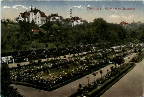 Chemitz, Rosarium im Stadtpark -382654