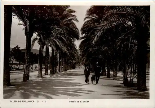 Palma de Mallorca - Paseo de Sagrera -445522