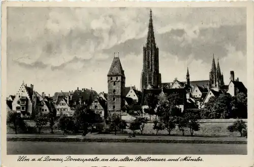 Ulm, Donaupartie an der alten Stadtmauer und Münster -382270