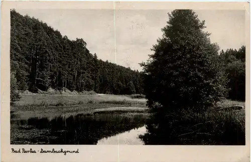 Bad Berka, dambachgrund -381960