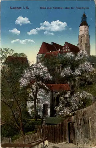 Kamenz, Blick vom Herrental nach der hauptkirche -382950