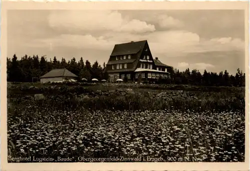 Zinnwald-Georgenfeld im Erzgeb., Berghotel Lugstein Baude -380878