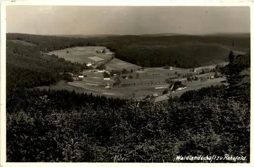 Kurort Rehefeld im Erzgeb., Waldlandschaft -382492
