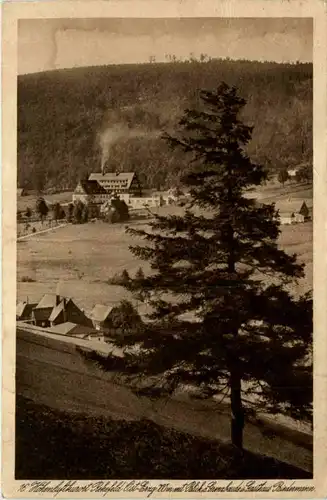 Rehefeld i. Erzgeb., Blick auf Grenzbaude und Gasthaus Biedermann -382512
