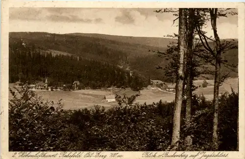 Rehefeld i. Erzgeb., Blick vom Buchenberg auf Jagdschloss -382532