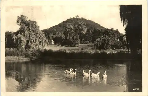 Görlitz-Schlauroth, Blick zur landeskrone -382726