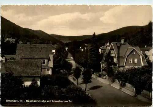 ilmenau, Naumannstrasse mit Manebacher Tal -383240