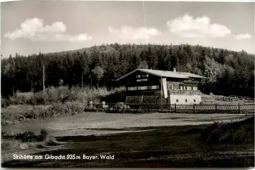 Skihütte am Gibacht, Waldmünchen -383380