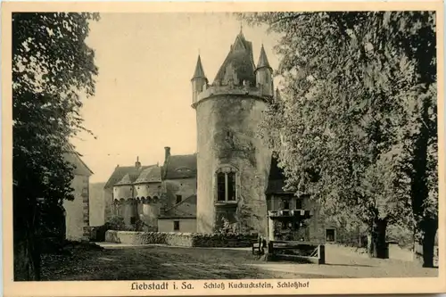 Liebstadt/Sa., mit Schloss Kuckuckstein, Schlosshof -384664