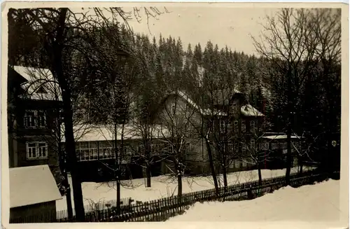 Schellerhau/Erzge., Margarethe Cronau-Heim -383488