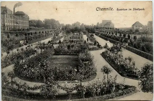 Chemnitz, Rosarium im Stadtpark -383704