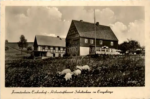 Schellerhau/Erzge., Fremdenheim Eschenhof -383472