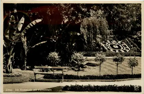 Zittau, die Blumenuhr mit Palmenhain -384130