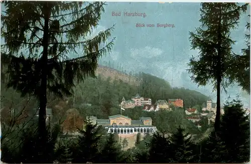 Bad Harzburg, Blick vom Burgberg -384944