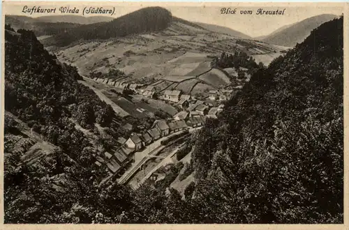 Kurort Wieda, Blick vom Kreustal -385044