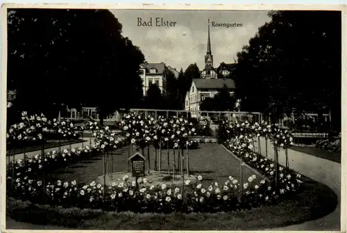 Bad Elster, Rosengarten -383840