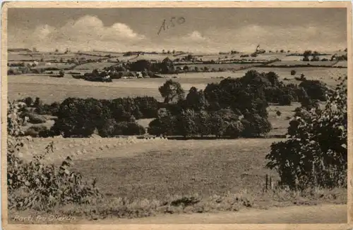 Parti fra Ollerup -100078