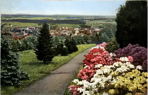 Kamenz, Blick vom Hutberg, Azaleen Anlagen -384480