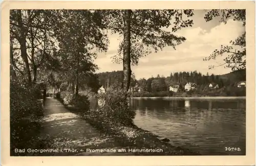 Bad Georgenthal i.Thür., Promenade am Hammerteich -384540