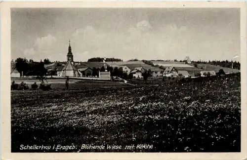 Schellerhau, Blühende Wiese mit Kirche -382362