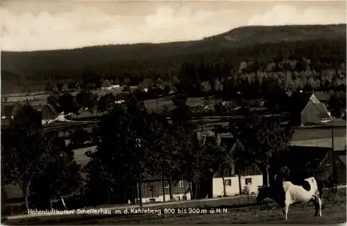 Schellerhau, m.d. Kahleberg -382402